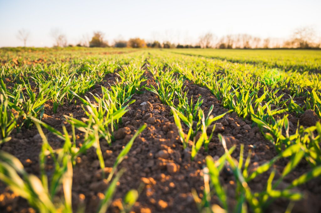 Pas de transition sans co-construction et mise en commun de savoirs pluriels : le cas dans l’agriculture