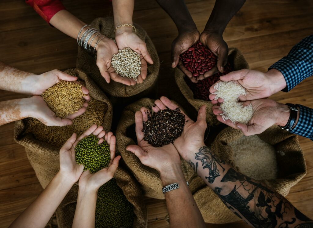 Analyse - Une banque mondiale de  semences : la solution ultime face à l’érosion de la  biodiversité agricole ?