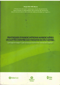 Couverture d’ouvrage : Pratiques d'associations marocaines de lutte contre les violences du genre : quels apprentissages ? Quels acquis pour les femmes victimes de violence ?